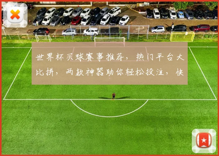 世界杯买球赛事推荐，热门平台大比拼，两款神器助你轻松投注，快来看看