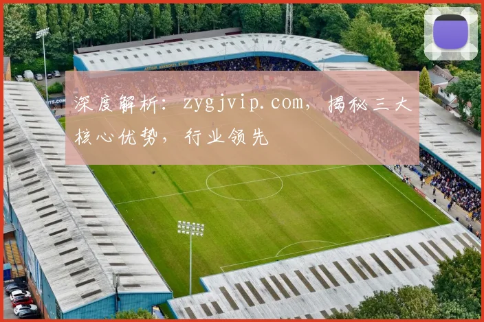 深度解析：zygjvip.com，揭秘三大核心优势，行业领先