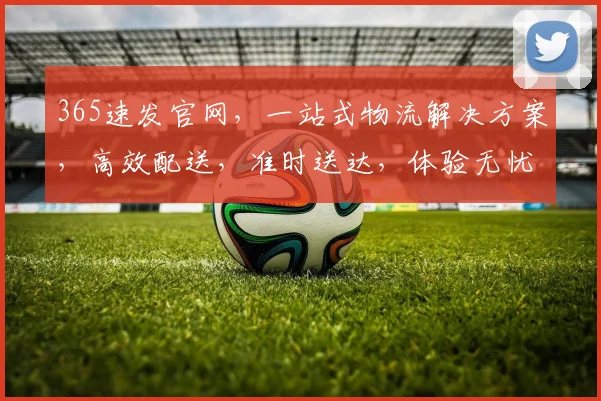 365速发官网，一站式物流解决方案，高效配送，准时送达，体验无忧购物之旅